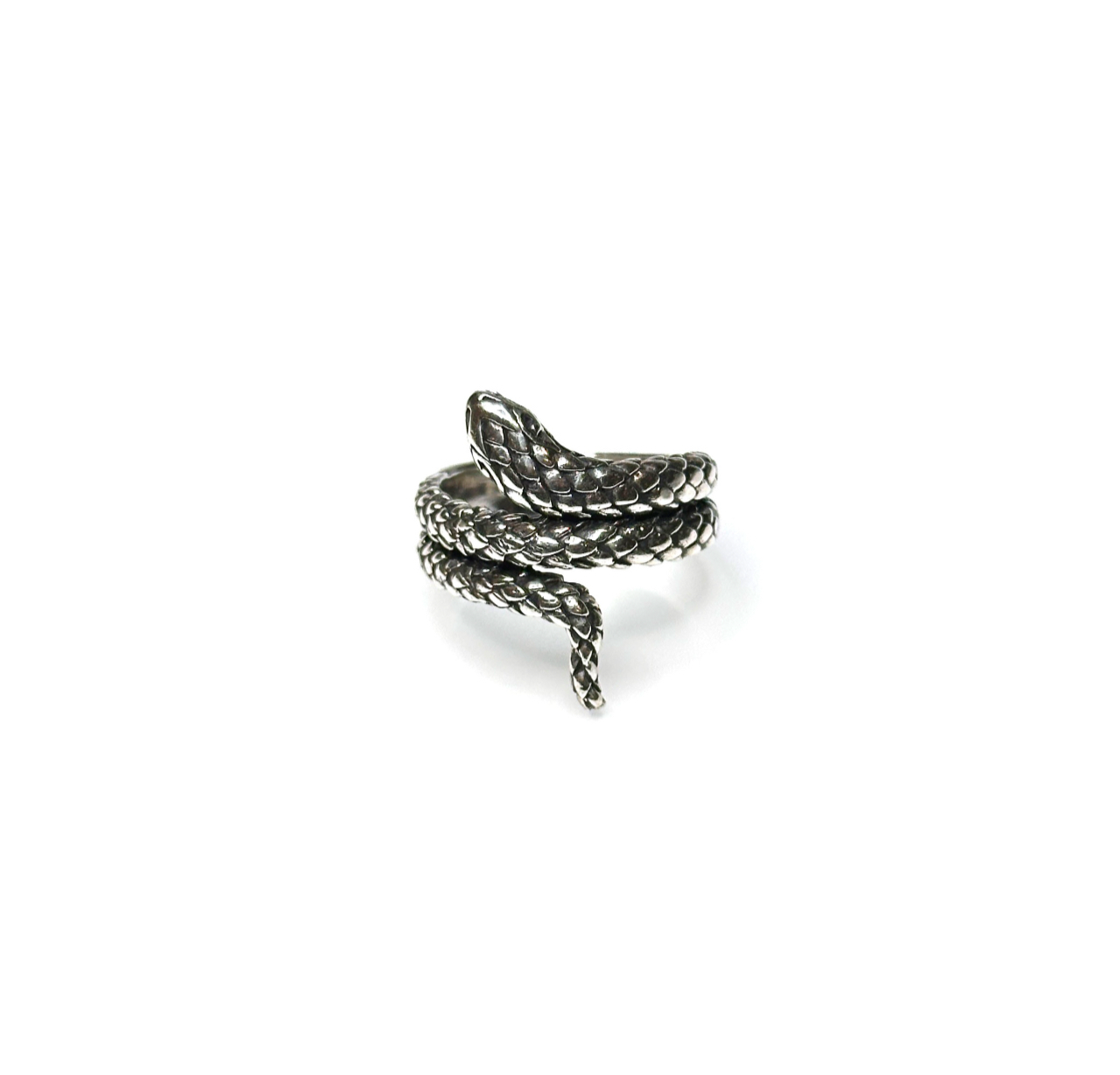 Lunar New Year 2025: the Snake