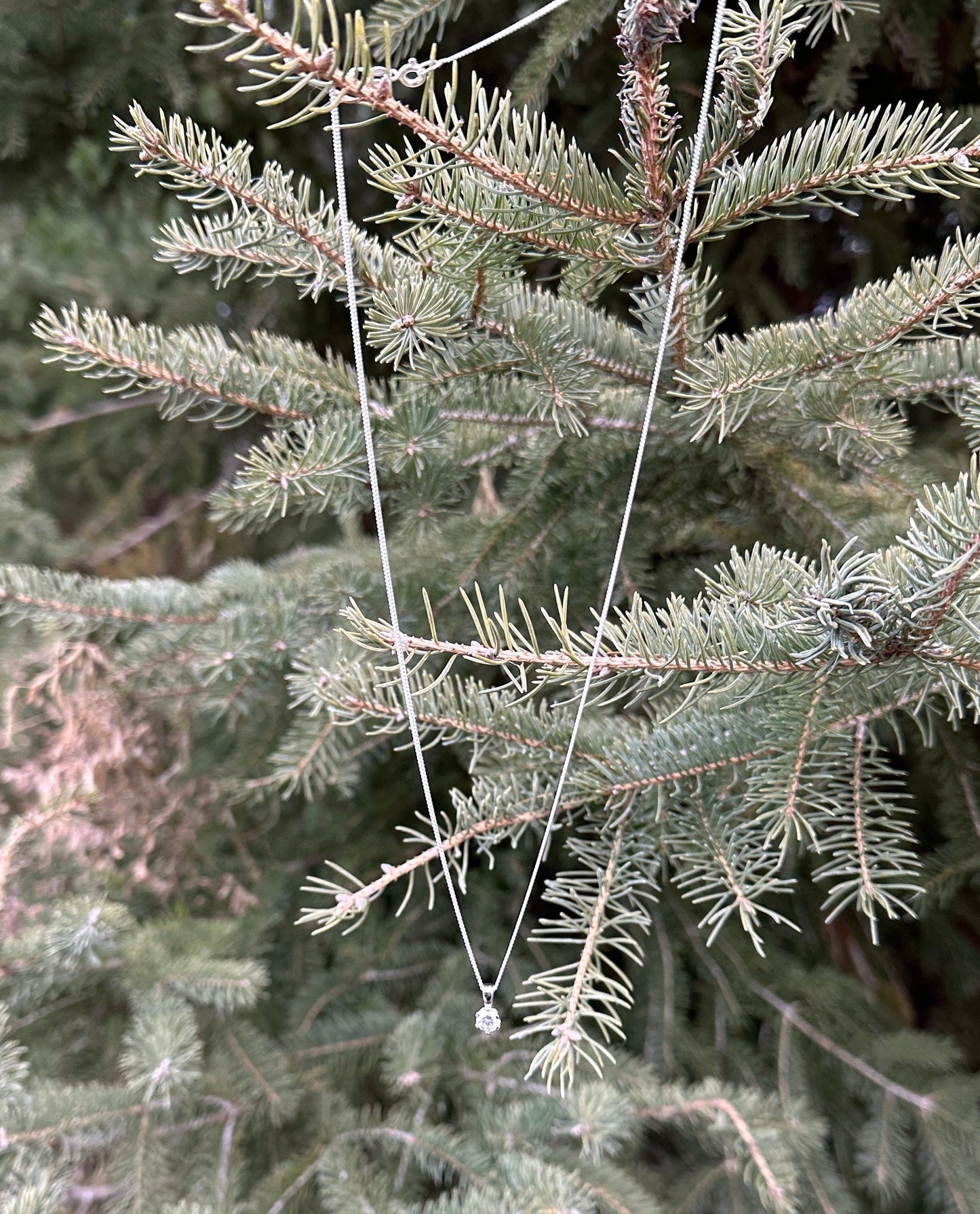 Solitaire necklace sterling silver shown against a pine tree