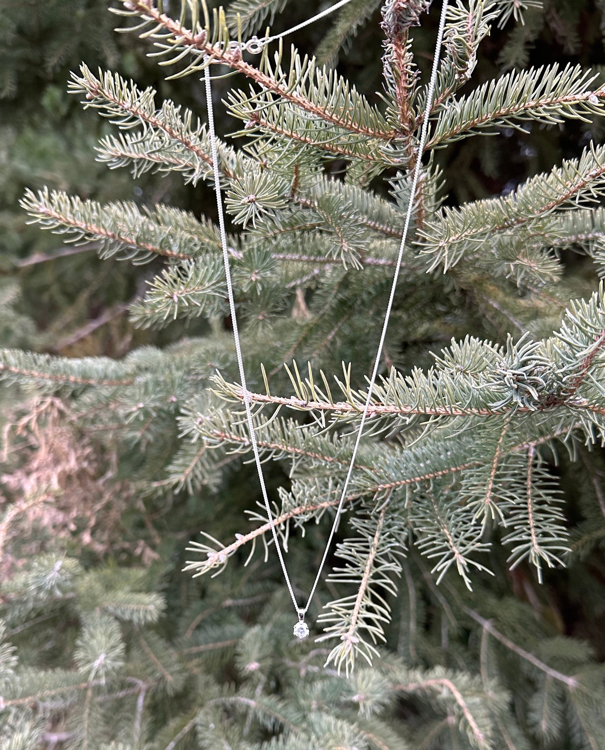 Solitaire necklace sterling silver shown against a pine tree